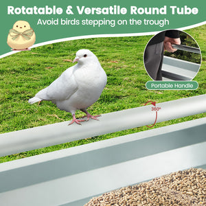 Metal Chicken Feeder Chicken Feeding Trough with Drainage Holes-Silver view 9