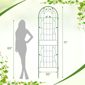 2 Pack 71 x 20 Inch Metal Garden Trellis Rustproof Plant Support for Climbing Plants-Green view 4