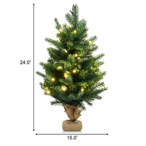 24 Inch Tabletop Fir Artificial Christmas Tree with LED Lights view 4