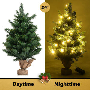 24 Inch Tabletop Fir Artificial Christmas Tree with LED Lights view 5