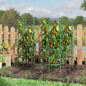 3 Pack 60 inch Adjustable Tall Plant Support Trellis for Climbing Plants view 5