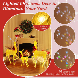 3 Pieces Lighted Family Deer Set with LED Lights and RGB Flashing Lights view 7