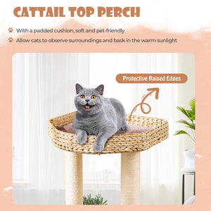 4 Layer Cat Tower with Scratching Posts Condo and Washable Cushions-Coffee view 6