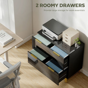 Lateral File Cabinet with 2 Drawers, Modern Filing Cabinet for Letter/A4/Legal Size Files, High Gloss Black – view 3