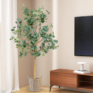 5.5 Feet Artificial Eucalyptus Tree with 517 Silver Dollar Leaves-2 Peice view 5