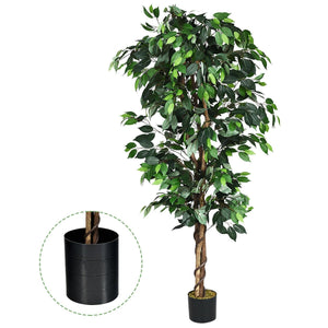 6 Feet Artificial Ficus Silk Tree view 8