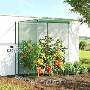 4' x 4' Walk-in Greenhouse, Garden Planting Warm House With Roll-Up Zipper Door for Seedlings Herbs Flowers, Dark Green