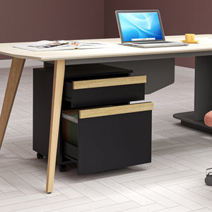 Mobile Filing Cabinet with 2 Drawers, Office Storage Cabinet with 5 Wheels, Black Wood Grain