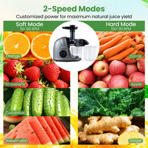 Cold Press Juicer Machine with 95% High Yield and 2-Speed Modes-Sliver view 5