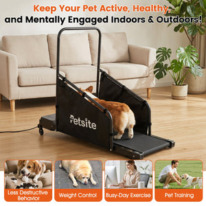 Dog Treadmill with Remote Control and LCD Display for Small Medium Dogs-Black view 4