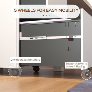Vertical Steel Filing Cabinet on Wheels, 2-Drawer Lockable File Cabinet with Adjustable Hanging Bar for A4 – view 13