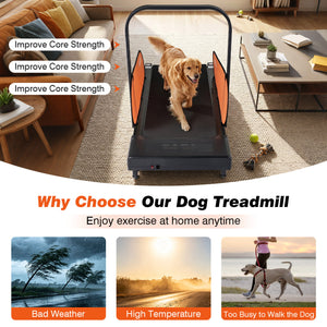 Pet Treadmill for Small & Medium Dogs with LED Display and Adjustable Speed-Black view 9