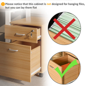 2 Drawer File Cabinet with Lock and Keys, Mobile Vertical Filing Cabinet with Wheels and Drawers – view 3