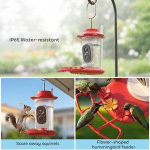 Smart Bird Feeder with Camera, AI Identify 16000 Birds, 2K HD Live Video, 3W Solar, Instant Arrival Alerts
