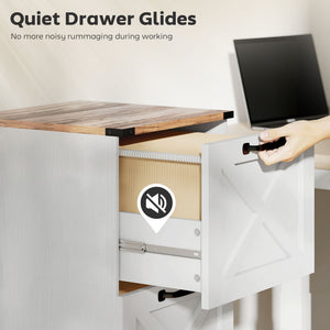 2 Drawer File Cabinet with Silent Slides, Vertical Farmhouse Filing Cabinet Fits Letter/A4 Size Home – view 13