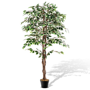 Artificial Ficus Tree Tall Faux Indoor Plant with 1008 Leaves Nursery Pot and Dried Moss view 4