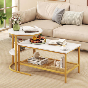 Coffee Table 2-Tier Rectangle Coffee Table and Side End Table with Storage Shelves-White and Golden view 3