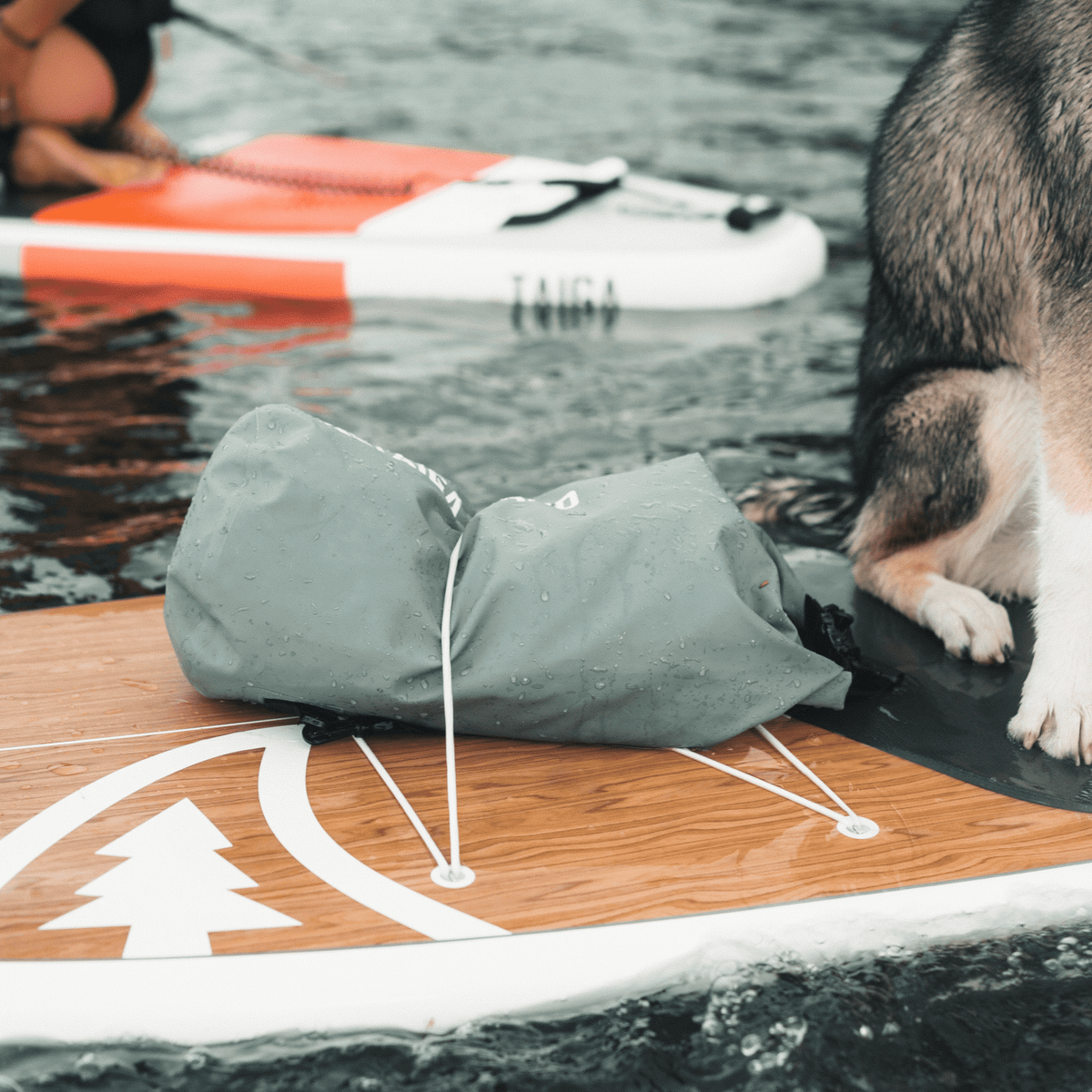 Dry Bag, 20L, Waterproof Roll-Top PVC Bag | Taiga Board