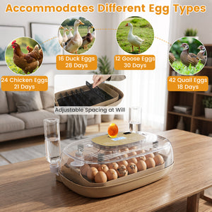 Egg Incubator with Temp and Humidity Control view 7