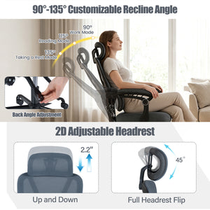 Ergonomic Office Computer Mesh Chair with High Back Adaptive Lumbar Support and 2D Adjustable Headrest-Gray view 9