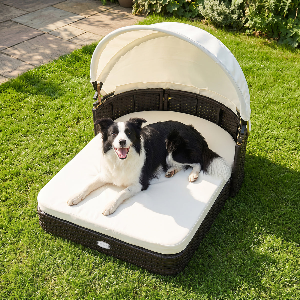 Handwoven Rattan Pet Daybed with 2 Detachable Soft Cushions for Small and Medium Dogs-White view 2