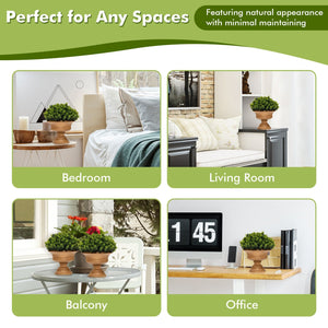 4 Pack Artificial Boxwood Topiary Trees view 8