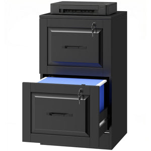 2 Drawer File Cabinet with Lock, Vertical Filing Cabinet with Adjustable Hanging Bars for A4 and Letter Size, Black