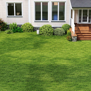 Indoor Outdoor Synthetic Turf Mat with Drainage Holes-XL view 2
