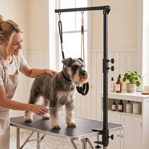 Dog Grooming Arm with Clamp Adjustable Foldable Dog Grooming 2 Loop Noose Small Medium Dogs 18.9" -32.3" Black