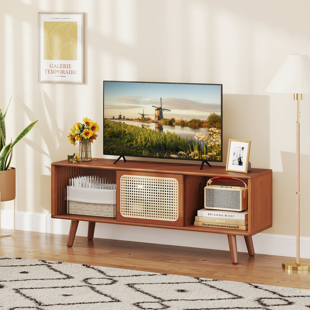 Modern TV Stand with Rattan Glass Sliding Doors-Brown view 2