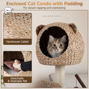 Multi-Level Cat Tree with Condo Hammock and Rotatable Hanging Balls-Brown view 7