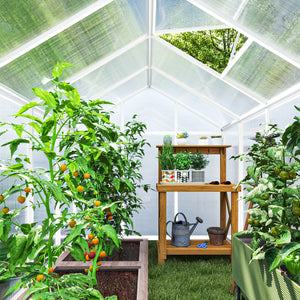 6' x 10' x 6.4' Walk-in Garden Greenhouse Polycarbonate Panels Plants Flower Growth Shed Cold Frame Outdoor – view 12