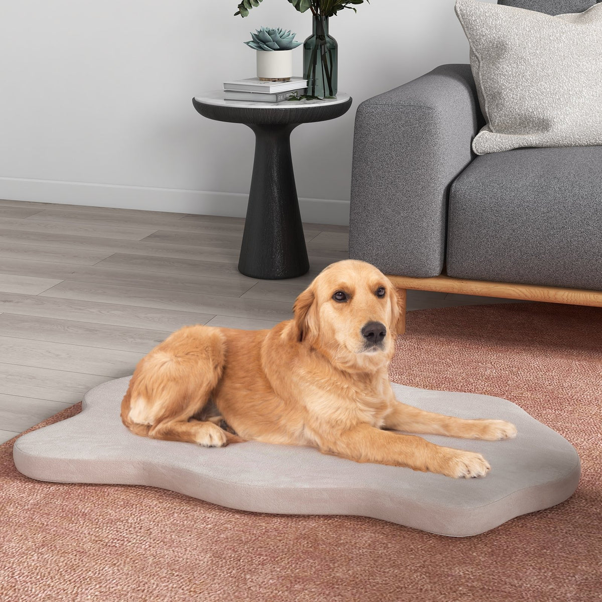Orthopedic Dog Bed with Memory Foam Support for Large Dogs-Beige view 2