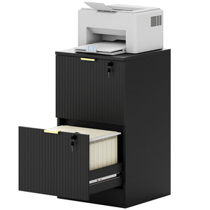 Lockable Filing Cabinet with 2 Fluted Drawers, File Cabinet with Adjustable Hanging Rails for A4 Letter