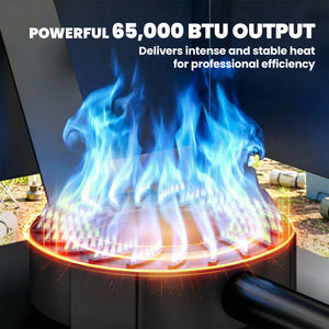 Camping Stove, 65000 BTU High Pressure Propane Stove Outdoor Burner with Detachable Burner, Black