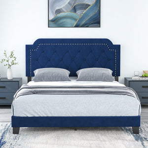Queen Size Velvet Bed Frame with Button Tufted and Nailhead Trim Headboard-Queen Size view 3