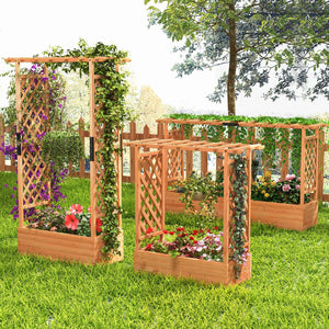 Raised Garden Bed with Arch Trellis-Orange view 6