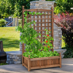 Solid Free Standing Wood Planter Box with Trellis for Garden view 3