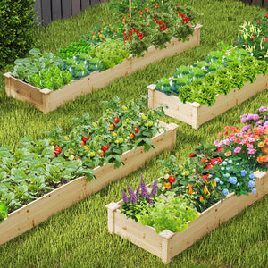 Wooden Raised Garden Bed with 2 Planter Boxes and Dividers-Natural view 3