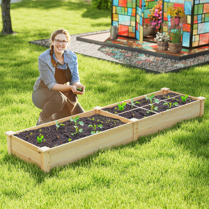 Wooden Raised Garden Bed with 2 Planter Boxes and Dividers-Natural view 6