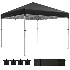 10' x 10' Pop Up Canopy with Sidewalls, Roller Bag, Height Adjustable Instant Tent for Outdoor, Garden