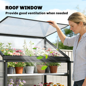 Polycarbonate Greenhouse with 2-Tier Shelves Gardening Green House for Patio Garden, Black