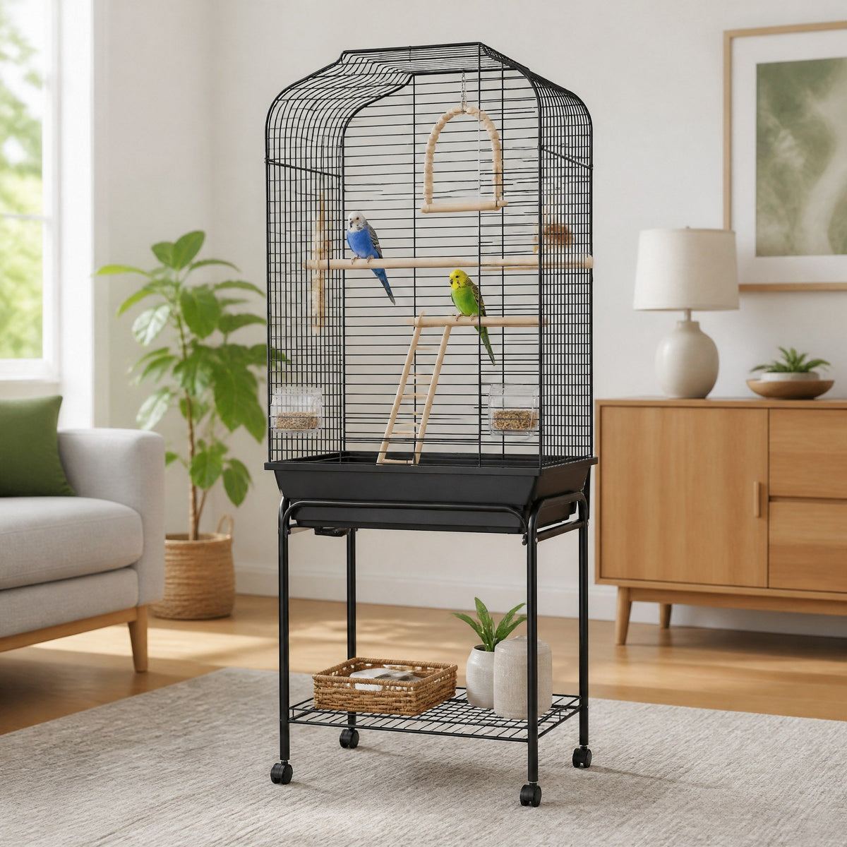 Birds collection