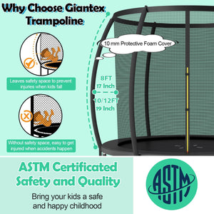 10 Feet ASTM Approved Recreational Trampoline with Ladder-Black view 8