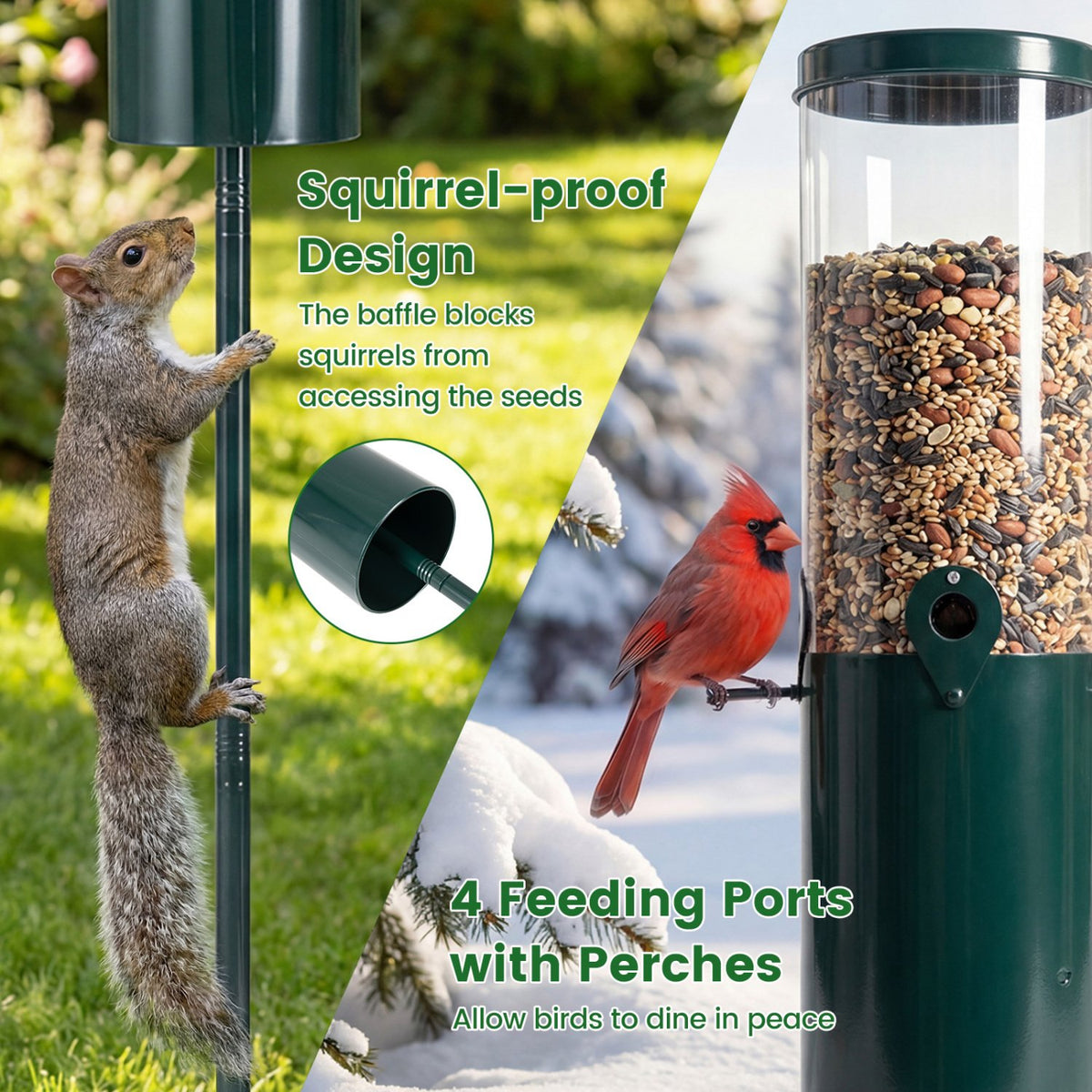 10 LBS Large Capacity Squirrel Proof Bird Feeder with Pole Mount and Baffle view 9