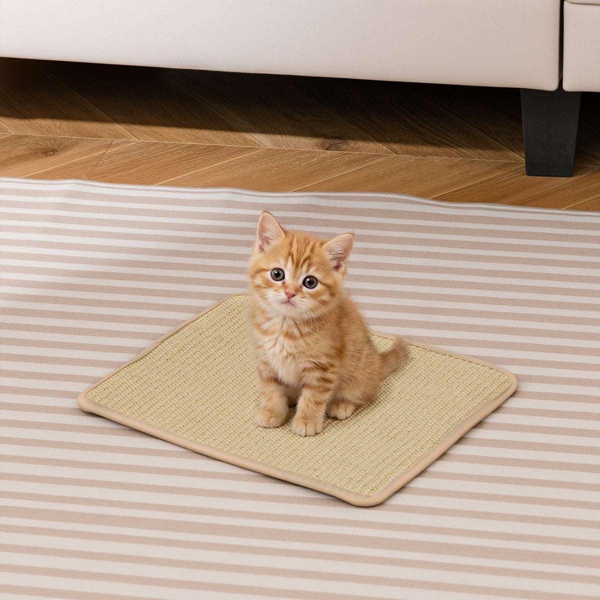 12 Pieces Cat Scratcher Mat Set 16 x 12 Inch Natural Sisal Pads view 2