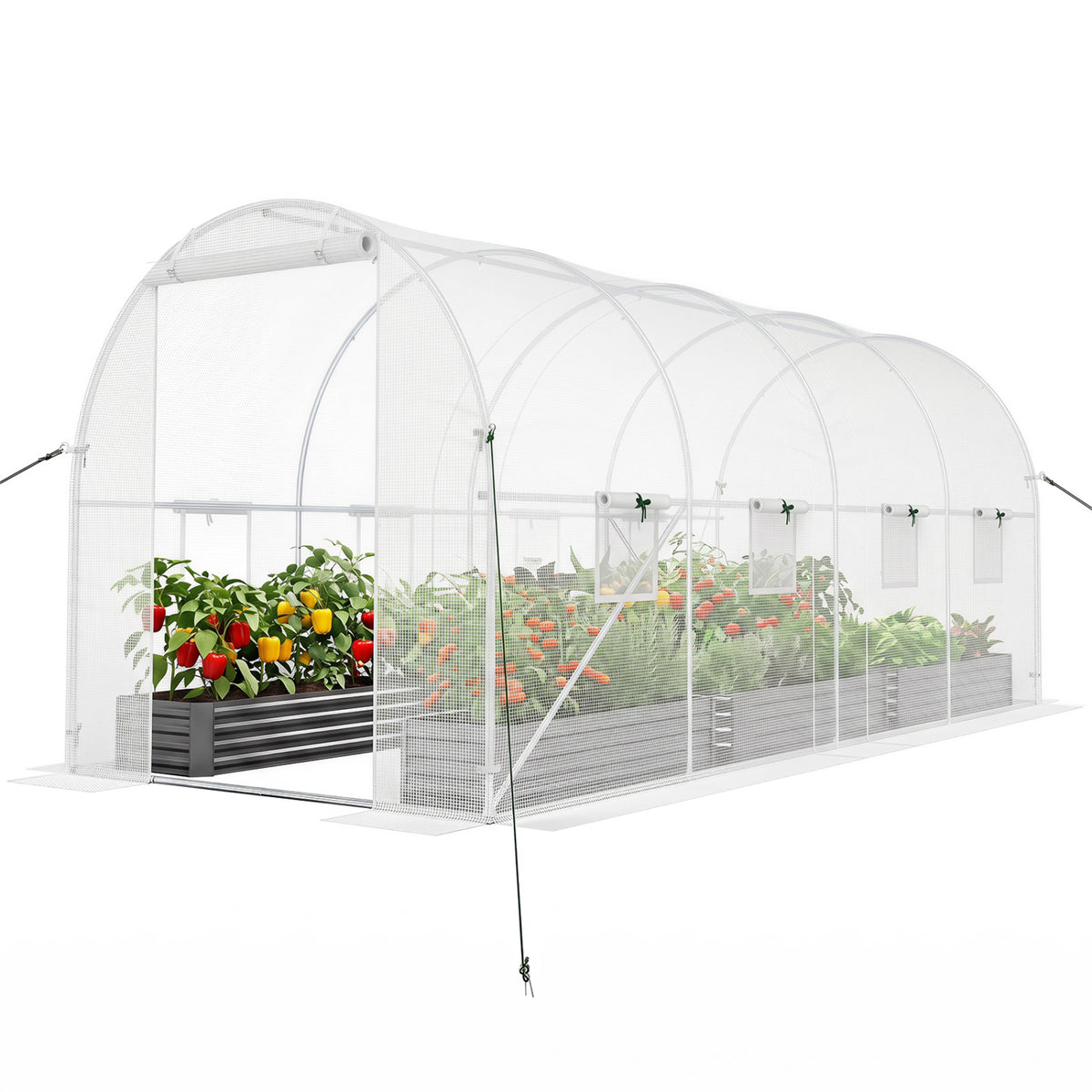 15 x 7 x 7 ft Walk-in Tunnel Greenhouse for Outdoors-White view 4