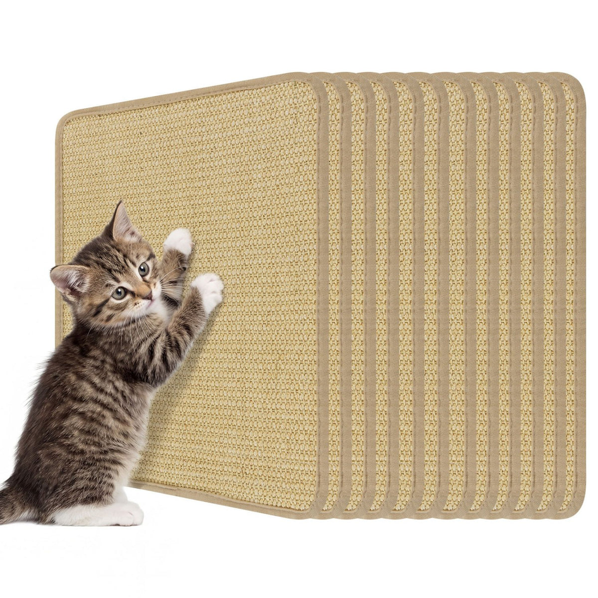 16 x 12 Inch 6-Piece Cat Scratcher Mat Set view 4