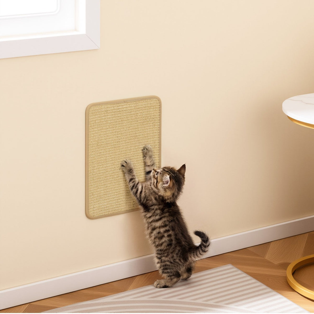 16 x 12 Inch 6-Piece Cat Scratcher Mat Set view 6