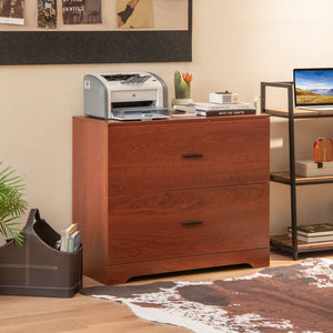 2-Drawer Lateral File Cabinet with Adjustable Bars for Home and Office-Walnut view 2